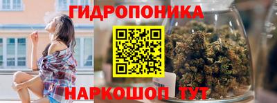 крисы Лесосибирск