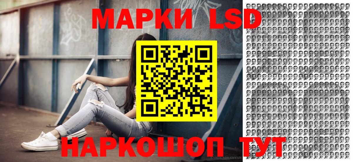 Губкин  Марки N-bome 1500мкг  Вход с VPN 