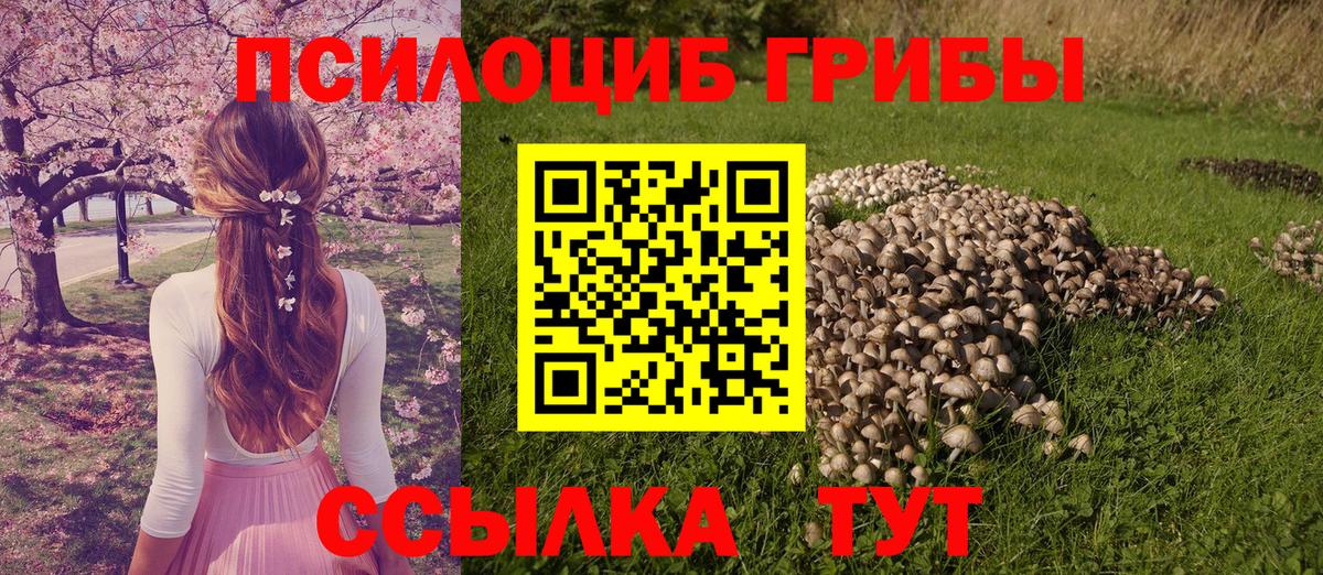 Губкин  Псилоцибиновые грибы прущие грибы  Галлюциногенные грибы мухоморы  Вход с VPN 